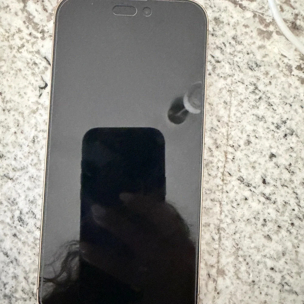 Apple iPhone 14 Pro Max in Gold